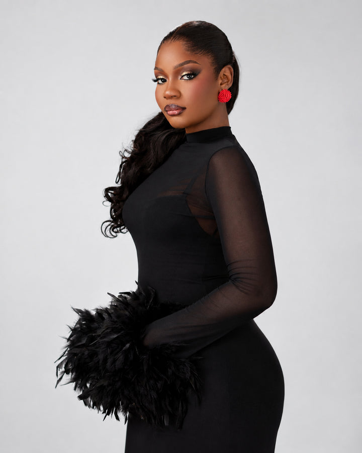 Women Sheer Mesh Long Sleeve Feather Cuff Maxi Dress